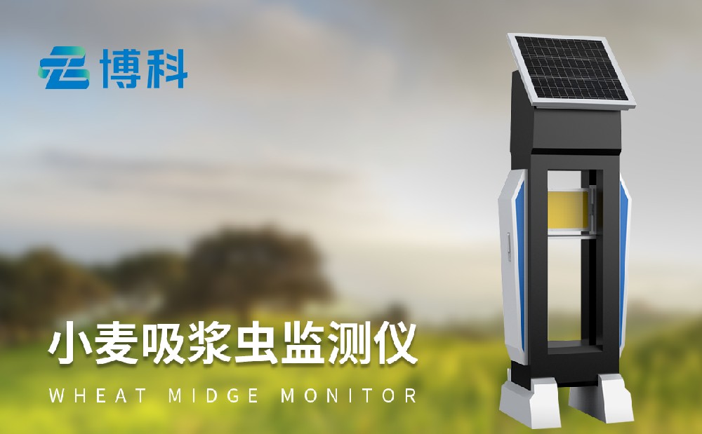 小麥吸漿蟲防治方法,吸漿蟲測報(bào)儀